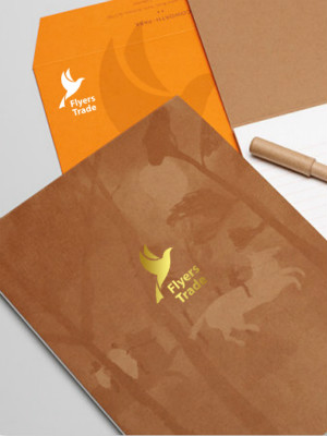 飛鳥貿易LOGO設計